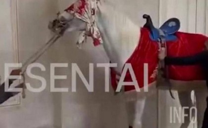 Сүндет тойда жылқыға қатыгездік көрсеткен ер адам жауапқа тартылды (видео)