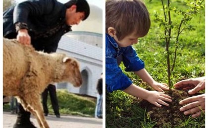 "Құрбан шалғанша, ағаш отырғызайық": Танымал мәдениеттанушы шариғатқа өзгеріс енгізуді ұсынды