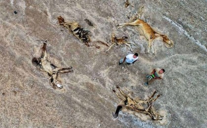 Еуроодақ қуаңшылықтан зардап шеккен қазақстандықтарға 200 мың еуро бөледі