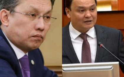 Бақыт Сұлтанов пен Ербол Қарашөкеевке сөгіс жариялаймын  - Президент