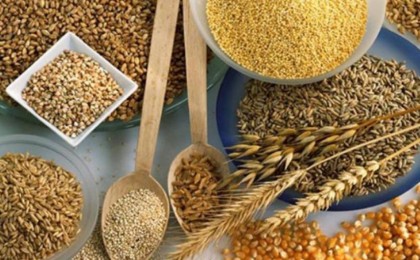 Қазақстан дәнді дақылдардың экспорттық нарықтарын кеңейтуде