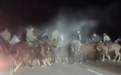 Алматыда көкпар ұйымдастырған азамат 7 тәулікке қамалды