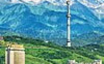 Ауа райын жан-жануарға қарап болжауы