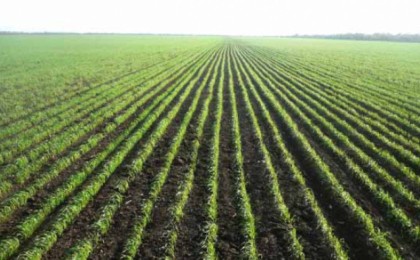 Байден егістік алқапқа байланысты қақтығыстар болуы мүмкін екенін ескертті