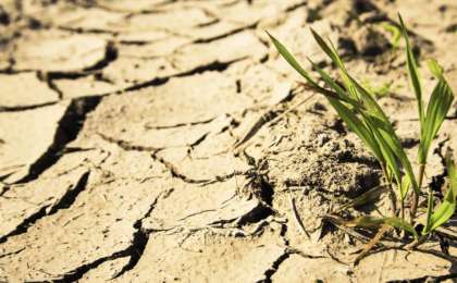 Шілде айында екі өңірде құрғақшылық болады