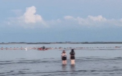 Барлығы қол ұстасып, жоғалған баланы іздеген: Қапшағайдағы видео желідегілердің жүрегін елжіретті