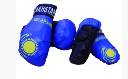 Үш бірдей талантты қазақ боксшы жол апатында қаза болды