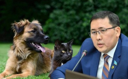 "Мен де көбейгім келеді": Мәжіліс депутаты Баққожаев үй жануарларын стерильдеу әдісінің тиімділігіне күмәнданды