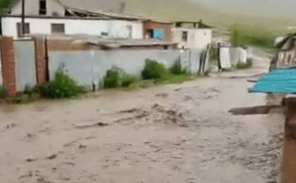 Желіде Алматы облысы Кеген ауданындағы селдің видеосы тарады