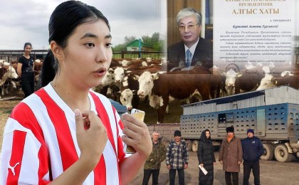 Алматы облысында кәсіпкер қыздың малын тәркілеген сот орындаушының үстінен қылмыстық іс қозғалды