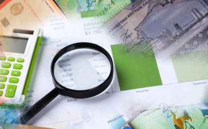 Жеке тұлғалардың кірістерін декларациялаудан босату ұсынысы қолдау тапты
