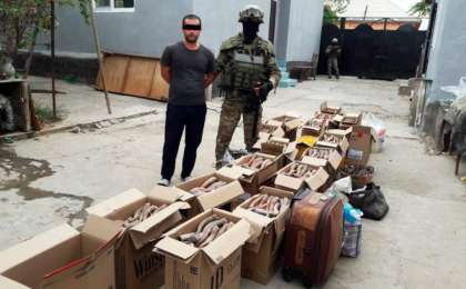 总统发推：偷猎者必须受到法律的严格制裁