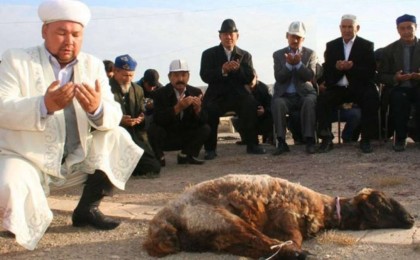 Құрбан айтта не істеу керек: Имам құрбандық шалудың ережесін түсіндірді