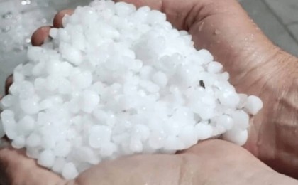 Шымкент тұрғындары қалада жауған ірі бұршақтың видеоларымен бөлісті