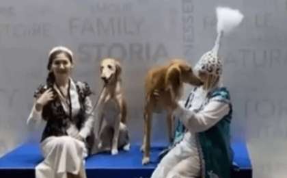 Қазақтың тазылары Женевадағы әлем чемпионатында жеңімпаз атанды