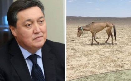 «Қолынан ештеңе келмейтін қауқарсыз үкіметті ұстауға еш негіз жоқ» - қоғам белсендісі