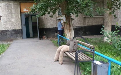 Ақсуда өлтірілген әйел мен екі баласы туралы тың деректер жарияланды