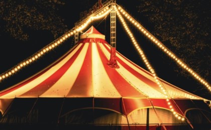 Енді Циркте жануарларды пайдалануға тыйым салынады