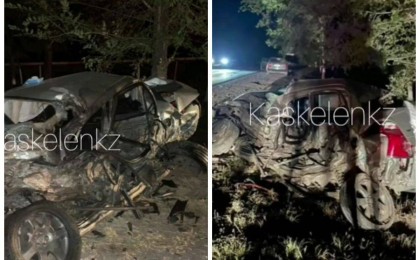 Әйелдің ішінде үш айлық баласы болған: 18 жастағы алматылық жантүршігерлік жол апатын жасады