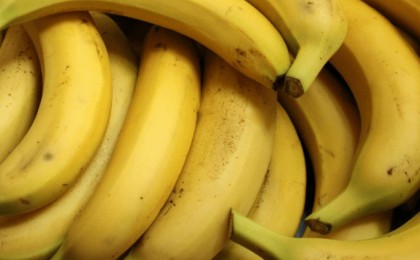 Қазақстанда алғаш рет өнеркәсіптік ауқымда банан өсіріле бастады