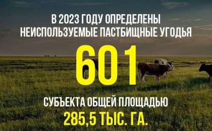 В 2023 году местными исполнительными органами города Конаев и районов определены неиспользуемые пастбищные угодья 601 субъекта общей площадью 285,5 тыс. га