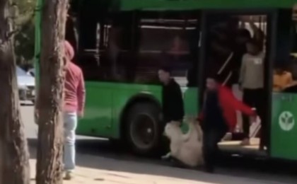 «Автобус малқора емес қой!». Атвобуспен мал тасыған бір топ адамдар желіні шулатты