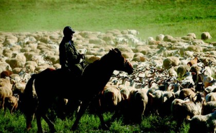 Жамбыл облысында екі әйелді айуандықпен өлтірген қойшының денесі табылды