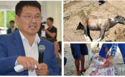 Маңғыстау жұрты індет тоқтасын деген ниетпен жылқыны құрбандыққа шалды