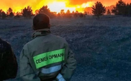 Жақында алапат өрт болған "Семей орманы" резерватының қызметкерлері жалақыларының өспегенін айтып президентке хат жолдады