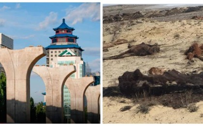 LRT құрылысына кететін $1 млрдты малы аштан қырылып жатқан халыққа берсін