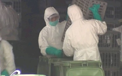 Алматылық дәрігер дельта штаммының негізгі симптомын айтты