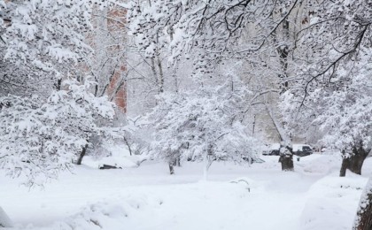 Жамбыл облысында қар жауды