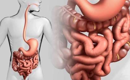 Ішек ауруларымен ауыратындар артып барады