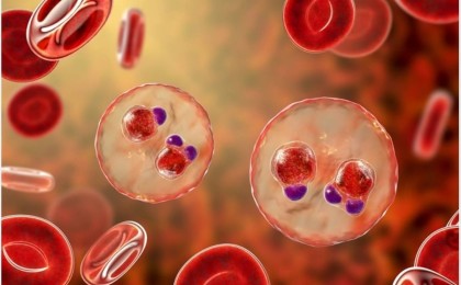 Карантин Оңтүстік-Шығыс Азияда жаңа қауіпті аурудың өршуіне себеп болды