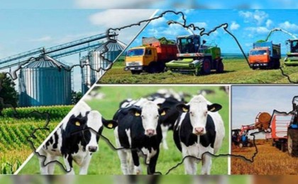 Қазақстан фермерлері Президентке алғыс білдірді