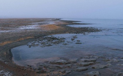 Арал теңізіне 200 млн текше метр су құйылды