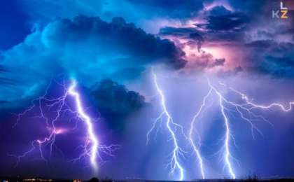 Жамбыл облысында найзағайдан бір үйір жылқы қырылып қалды