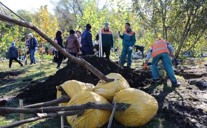 В Алматы стартовала осенняя кампания по озеленению