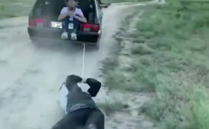 Түркістандық адамды көлікке байлап алып сүйреген (видео)