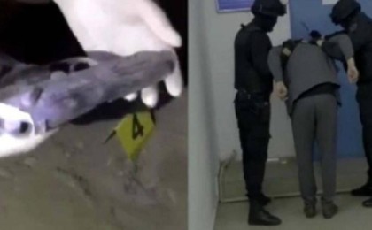 Қызылордада атыс болып, үш адам қаза тапты