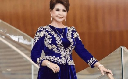 "Сізді өткізбейді": Роза Рымбаева өзгенің төлқұжатымен шекарадан өтпек болды