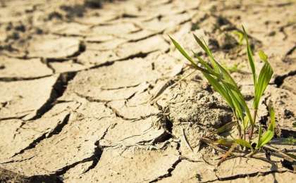 Мамырда Қазақстанның қай өңірінде құрғақшылық болатыны белгілі болды