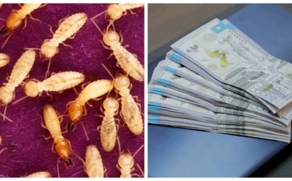 "Термиттер Ұлттық банктің қоймасындағы 2 трлн теңгені жеп қойды": Ақпарат желіде қызу талқыланып жатыр