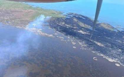 Алматы облысында 100 га жер өртеніп жатыр