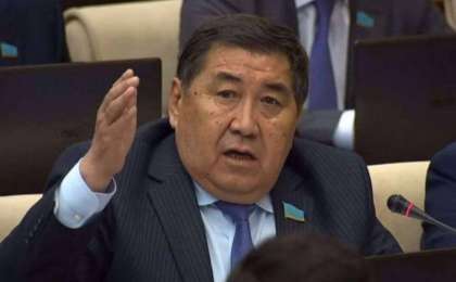 Назарбаевтар отбасының өкілдері алматылықтардың жерлерін басып алып жатыр - Ермұрат Бапи