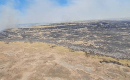 Балқаштағы өрт 6 мың гектарға дейін жетті - ТЖМ