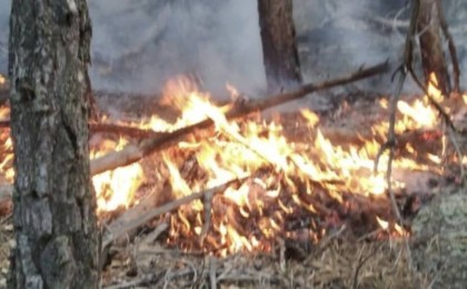 Құтқарушылар Павлодар облысы Баянауыл ауданында өртті сөндірді