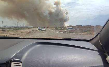 Елорда іргесінде қураған ағаш өртеніп жатыр