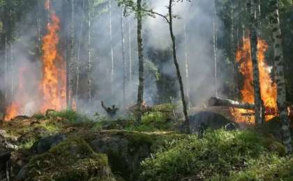 Абай облысындағы өрттен бәріміз сабақ алуымыз керек - Президент