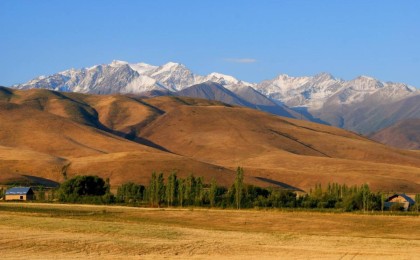 Меркі ауданында 5 мың гектарға жуық жер мемлекетке қайтарылды